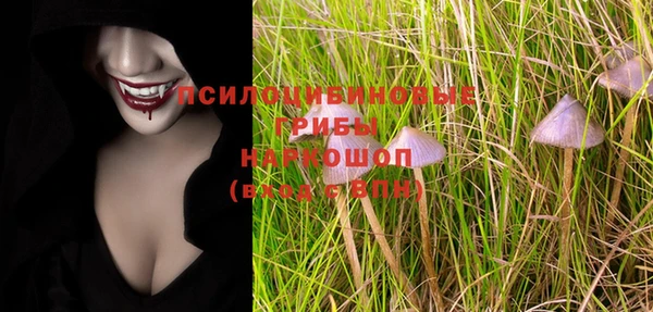 ПСИЛОЦИБИНОВЫЕ ГРИБЫ Михайловка