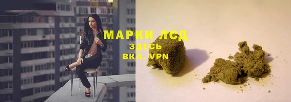 PSILOCYBIN Михайловск