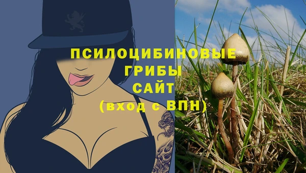 ПСИЛОЦИБИНОВЫЕ ГРИБЫ Михайловка