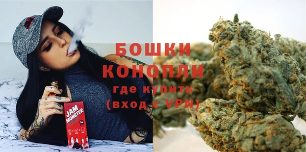 PSILOCYBIN Михайловск