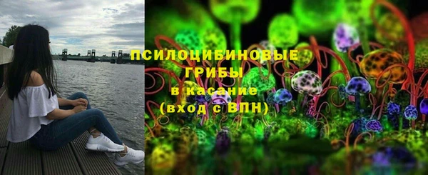 ПСИЛОЦИБИНОВЫЕ ГРИБЫ Михайловка