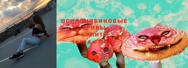 стафф Михайлов