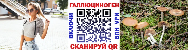 Псилоцибиновые грибы Psilocybine cubensis  Суворов 